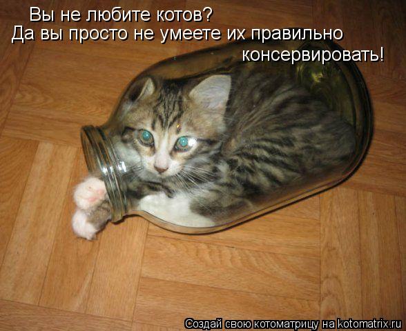 Вы не любите котов? Да вы просто не умеете их правильно консервировать!... Котоматрица: Вы не любите котов? Да вы просто не умеете их правильно консервировать!