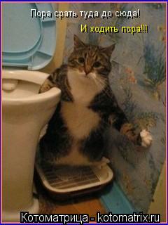 Пора срать туда до сюда! И ходить пора!!!... Котоматрица: Пора срать туда до сюда! И ходить пора!!!