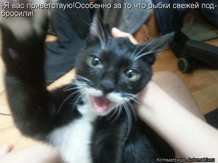 -Я вас приветствую!Особенно за то,что рыбки свежей под- бросили!... Котоматрица: -Я вас приветствую!Особенно за то,что рыбки свежей под- бросили!