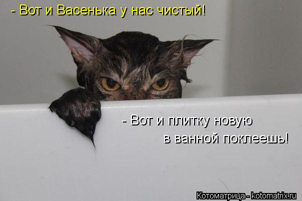 - Вот и Васенька у нас чистый! - Вот и плитку новую в ванной поклеешь!... Котоматрица: - Вот и Васенька у нас чистый! - Вот и плитку новую в ванной поклеешь!