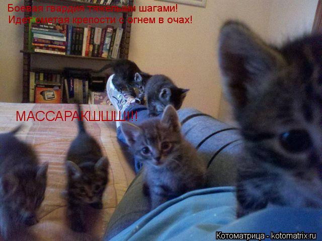 Боевая гвардия тяжелыми шагами! Идет сметая крепости с огнем в очах! МАССАРАКШШШ!!!... Котоматрица: Боевая гвардия тяжелыми шагами! Идет сметая крепости с огнем в очах! МАССАРАКШШШ!!!