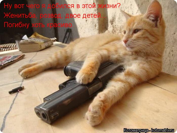 Ну вот чего я добился в этой жизни? Женитьба, розвод, двое детей... Погибну хоть красиво.... Котоматрица: Ну вот чего я добился в этой жизни? Женитьба, розвод, двое детей... Погибну хоть красиво.