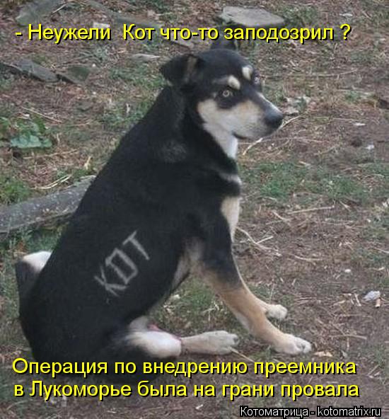- Неужели Кот что-то заподозрил ? Операция по внедрению преемника в Лукоморье была на грани пров... Котоматрица: - Неужели Кот что-то заподозрил ? Операция по внедрению преемника в Лукоморье была на грани провала