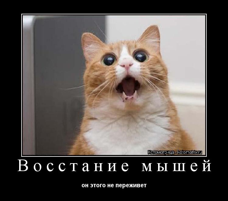 Восстание мышей он этого не переживет... Котоматрица: Восстание мышей он этого не переживет