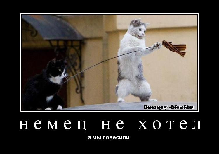 немец не хотел а мы повесили ... Котоматрица: немец не хотел а мы повесили