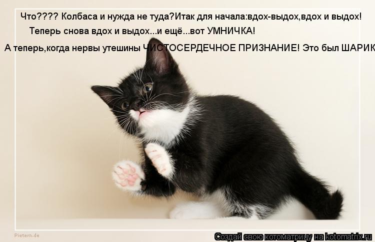 Котоматрица: Что???? Колбаса и нужда не туда?Итак для начала:вдох-выдох,вдох и выдох! Теперь снова вдох и выдох...и ещё...вот УМНИЧКА!  А теперь,когда нервы ут