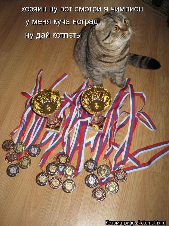 хозяин ну вот смотри я чимпион у меня куча ноград ну дай котлеты... Котоматрица: хозяин ну вот смотри я чимпион у меня куча ноград ну дай котлеты