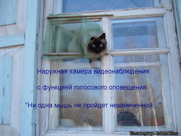 Наружная камера видеонаблюдения с функцией голосового оповещения "Ни одна мышь не пройдет незамеченно... Котоматрица: Наружная камера видеонаблюдения с функцией голосового оповещения "Ни одна мышь не пройдет незамеченной..."