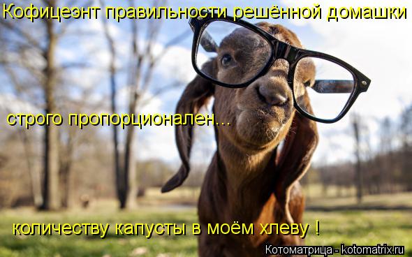 строго пропорционален... количеству капусты в моём хлеву ! Кофицеэнт правильности решённой домашки... Котоматрица: строго пропорционален... количеству капусты в моём хлеву ! Кофицеэнт правильности решённой домашки