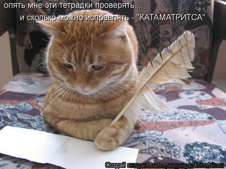 опять мне эти тетрадки проверять... и сколько можно исправлять - "КАТАМАТРИТСА"... Котоматрица: опять мне эти тетрадки проверять... и сколько можно исправлять - "КАТАМАТРИТСА"