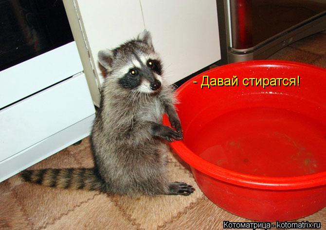- Давай стиратся!... Котоматрица: - Давай стиратся!