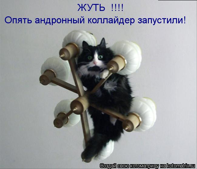 Опять андронный коллайдер запустили! ЖУТЬ !!!!... Котоматрица: Опять андронный коллайдер запустили! ЖУТЬ !!!!