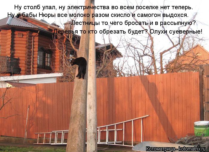 Ну столб упал, ну электричества во всем поселке нет теперь. Ну у бабы Нюры все молоко разом скисло и ... Котоматрица: Ну столб упал, ну электричества во всем поселке нет теперь. Ну у бабы Нюры все молоко разом скисло и самогон выдохся. Лестницы то чего бросат