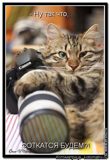 - Ну так что, ФОТКАТСЯ БУДЕМ?!... Котоматрица: - Ну так что, ФОТКАТСЯ БУДЕМ?!