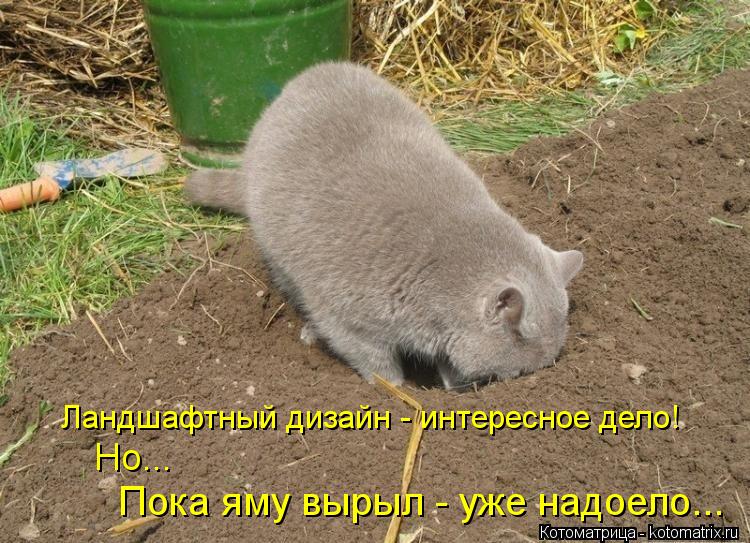 Котоматрица: Ландшафтный дизайн - интересное дело! Но... Пока яму вырыл - уже надоело...