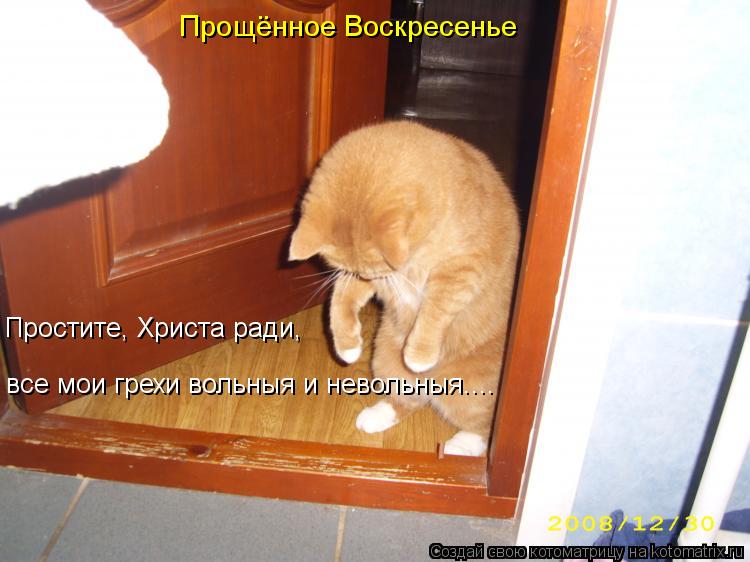 Простите, Христа ради, все мои грехи вольныя и невольныя.... Прощённое Воскресенье... Котоматрица: Простите, Христа ради, все мои грехи вольныя и невольныя.... Прощённое Воскресенье
