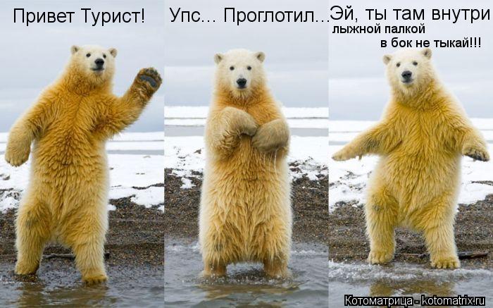 Привет Турист! Упс... Проглотил... Эй, ты там внутри лыжной палкой в бок не тыкай!!!... Котоматрица: Привет Турист! Упс... Проглотил... Эй, ты там внутри лыжной палкой в бок не тыкай!!!