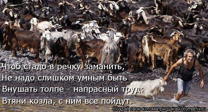 Втяни козла, с ним все пойдут. Внушать толпе - напрасный труд: Не надо слишком умным быть - Чтоб стад... Котоматрица: Втяни козла, с ним все пойдут. Внушать толпе - напрасный труд: Не надо слишком умным быть - Чтоб стадо в речку заманить,