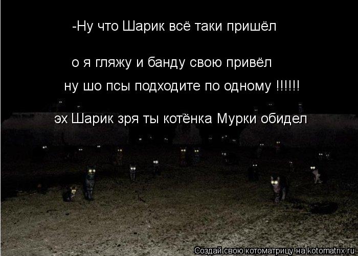 -Ну что Шарик всё таки пришёл о я гляжу и банду свою привёл ну шо псы подходите по одному !!!!!! эх Ш... Котоматрица: -Ну что Шарик всё таки пришёл о я гляжу и банду свою привёл ну шо псы подходите по одному !!!!!! эх Шарик зря ты котёнка Мурки обидел