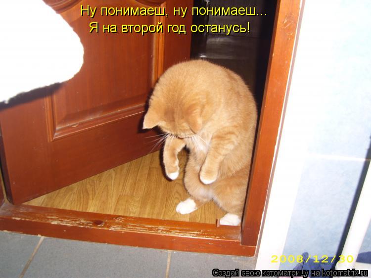 Ну понимаеш, ну понимаеш... Я на второй год останусь!... Котоматрица: Ну понимаеш, ну понимаеш... Я на второй год останусь!