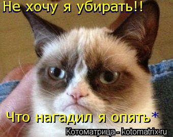 Не хочу я убирать! Что нагадил я опять* Что нагадил я опять Не хочу я убирать!!... Котоматрица: Не хочу я убирать! Что нагадил я опять* Что нагадил я опять Не хочу я убирать!!