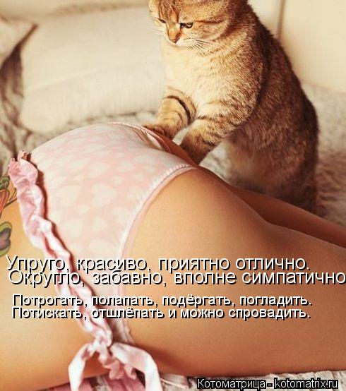 Упруго, красиво, приятно отлично. Округло, забавно, вполне симпатично. Потрогать, полапать, подёргать... Котоматрица: Упруго, красиво, приятно отлично. Округло, забавно, вполне симпатично. Потрогать, полапать, подёргать, погладить. Потискать, отшлёпать и мож