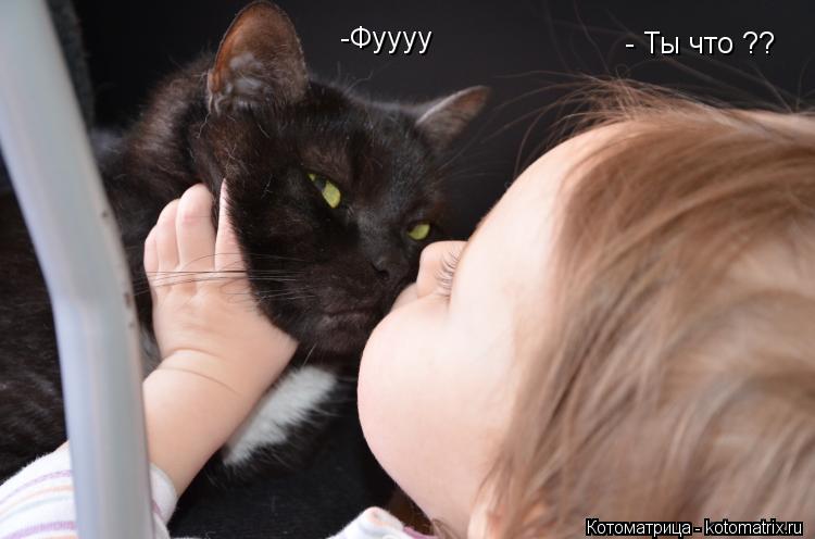 - Ты что ?? -Фуууу... Котоматрица: - Ты что ?? -Фуууу