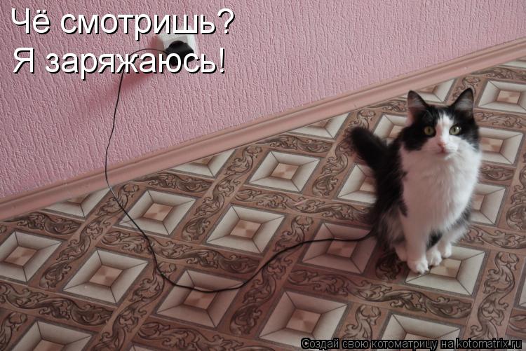 Чё смотришь? Я заряжаюсь!... Котоматрица: Чё смотришь? Я заряжаюсь!
