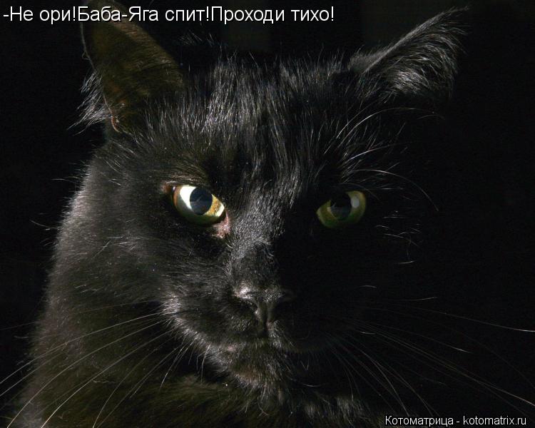 -Не ори!Баба-Яга спит!Проходи тихо!... Котоматрица: -Не ори!Баба-Яга спит!Проходи тихо!