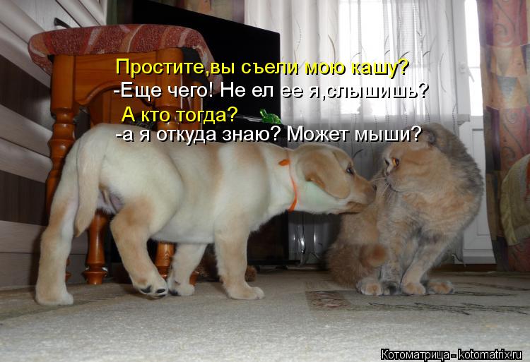 Простите,вы съели мою кашу? -Еще чего! Не ел ее я,слышишь? А кто тогда? -а я откуда знаю? Может мыши?... Котоматрица: Простите,вы съели мою кашу? -Еще чего! Не ел ее я,слышишь? А кто тогда? -а я откуда знаю? Может мыши?