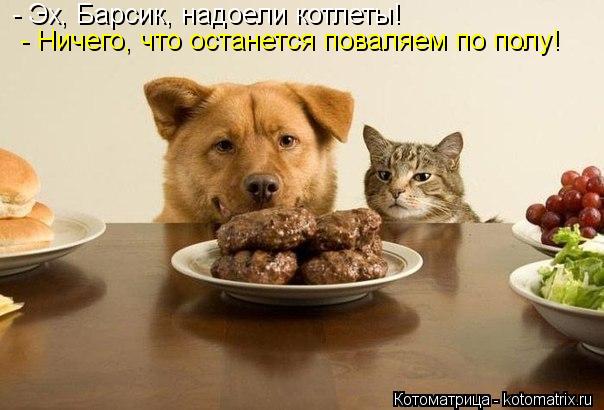 - Эх, Барсик, надоели котлеты! - Ничего, что останется поваляем по полу!... Котоматрица: - Эх, Барсик, надоели котлеты! - Ничего, что останется поваляем по полу!