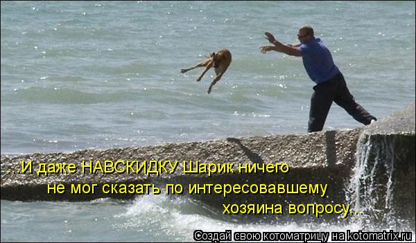 ...И даже НАВСКИДКУ Шарик ничего не мог сказать по интересовавшему хозяина вопросу...... Котоматрица: ...И даже НАВСКИДКУ Шарик ничего не мог сказать по интересовавшему хозяина вопросу...