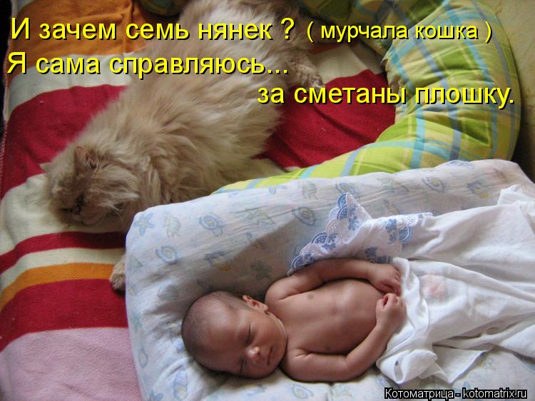 И зачем семь нянек ? ( мурчала кошка ) Я сама справляюсь... за сметаны плошку.... Котоматрица: И зачем семь нянек ? ( мурчала кошка ) Я сама справляюсь... за сметаны плошку.