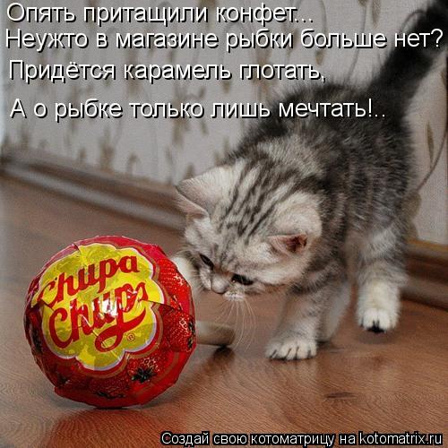 Опять притащили конфет... Неужто в магазине рыбки больше нет? Придётся карамель глотать, А о рыбке то... Котоматрица: Опять притащили конфет... Неужто в магазине рыбки больше нет? Придётся карамель глотать, А о рыбке только лишь мечтать!..