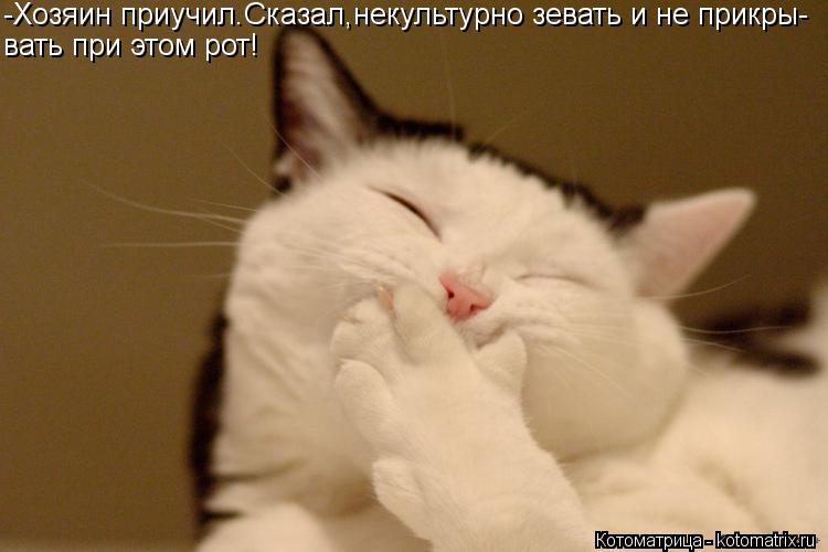 -Хозяин приучил.Сказал,некультурно зевать и не прикры- вать при этом рот!... Котоматрица: -Хозяин приучил.Сказал,некультурно зевать и не прикры- вать при этом рот!