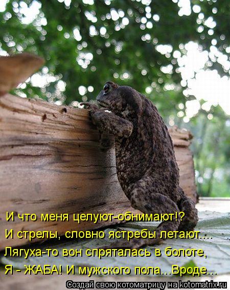 Я - ЖАБА! И мужского пола...Вроде... Лягуха-то вон спряталась в болоте, И стрелы, словно ястребы лета... Котоматрица: Я - ЖАБА! И мужского пола...Вроде... Лягуха-то вон спряталась в болоте, И стрелы, словно ястребы летают.... И что меня целуют-обнимают!?