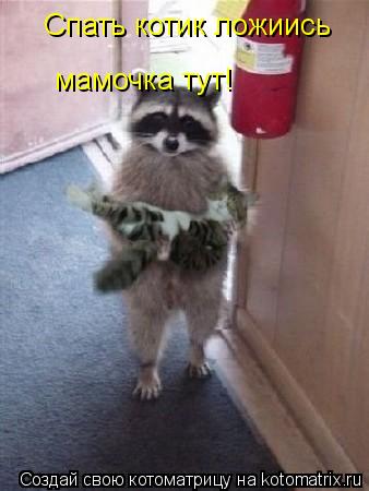 Спать котик ложиись мамочка тут!... Котоматрица: Спать котик ложиись мамочка тут!
