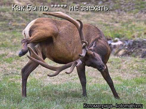 Как бы по ***** не заехать.... Котоматрица: Как бы по ***** не заехать.