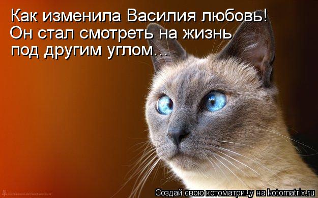 Как изменила Василия любовь! Он стал смотреть на жизнь под другим углом...... Котоматрица: Как изменила Василия любовь! Он стал смотреть на жизнь под другим углом...