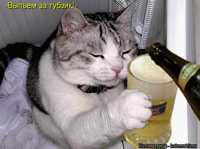 -Выпьем за тубзик!-... Котоматрица: -Выпьем за тубзик!-