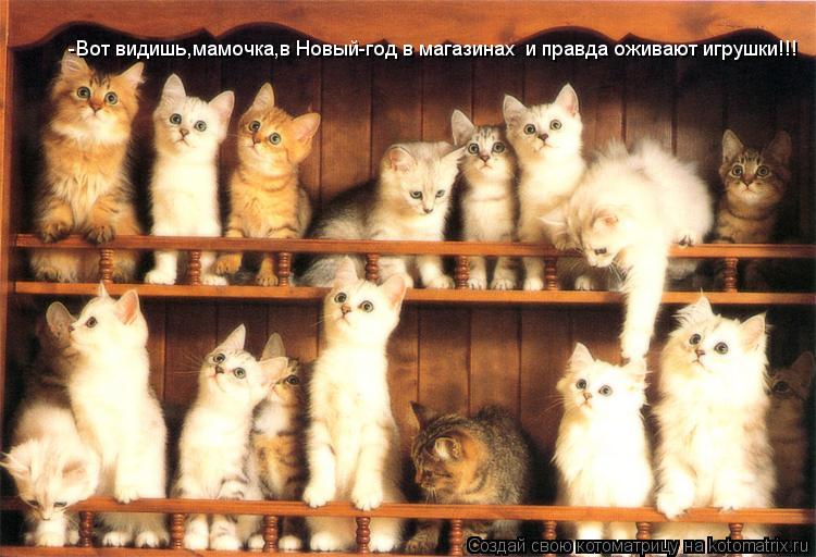 -Вот видишь,мамочка,в Новый-год в магазинах и правда оживают игрушки!!!... Котоматрица: -Вот видишь,мамочка,в Новый-год в магазинах и правда оживают игрушки!!!