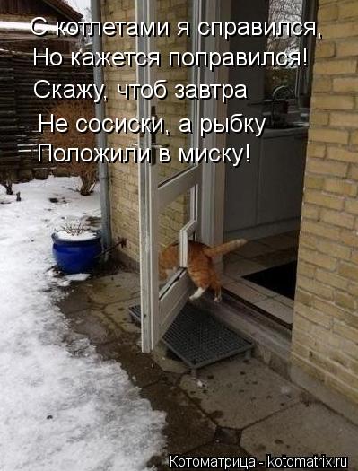 Не сосиски, а рыбку Положили в миску! Скажу, чтоб завтра Но кажется поправился! С котлетами я справи... Котоматрица: Не сосиски, а рыбку Положили в миску! Скажу, чтоб завтра Но кажется поправился! С котлетами я справился,