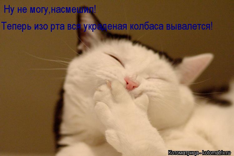 Ну не могу,насмешил! Теперь изо рта вся украденая колбаса вывалется!... Котоматрица: Ну не могу,насмешил! Теперь изо рта вся украденая колбаса вывалется!