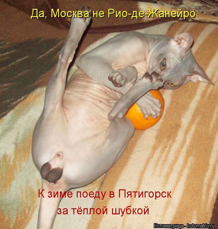 Да, Москва не Рио-де-Жанейро К зиме поеду в Пятигорск за тёплой шубкой... Котоматрица: Да, Москва не Рио-де-Жанейро К зиме поеду в Пятигорск за тёплой шубкой