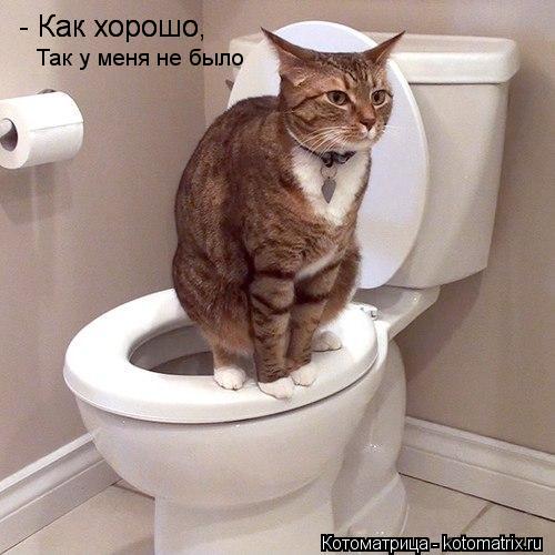 - Как хорошо - Как хорошо, Так у меня не было... Котоматрица: - Как хорошо - Как хорошо, Так у меня не было