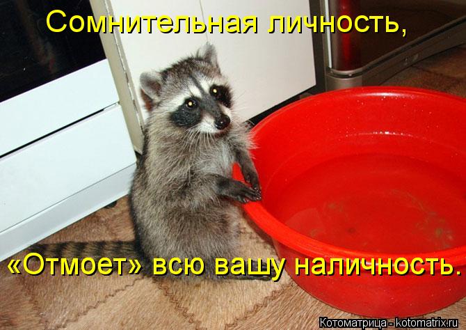 Сомнительная личность, «Отмоет» всю вашу наличность. «Отмоет» всю вашу наличность.... Котоматрица: Сомнительная личность, «Отмоет» всю вашу наличность. «Отмоет» всю вашу наличность.