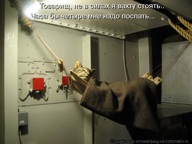 Товарищ, не в силах я вахту стоять.. Часа бы четыре мне надо поспать...... Котоматрица: Товарищ, не в силах я вахту стоять.. Часа бы четыре мне надо поспать...
