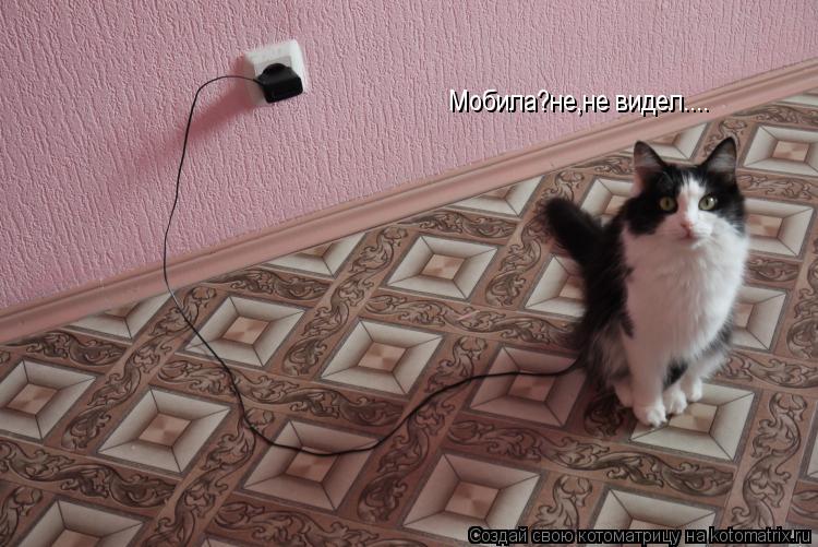 Мобила?не,не видел....... Котоматрица: Мобила?не,не видел....