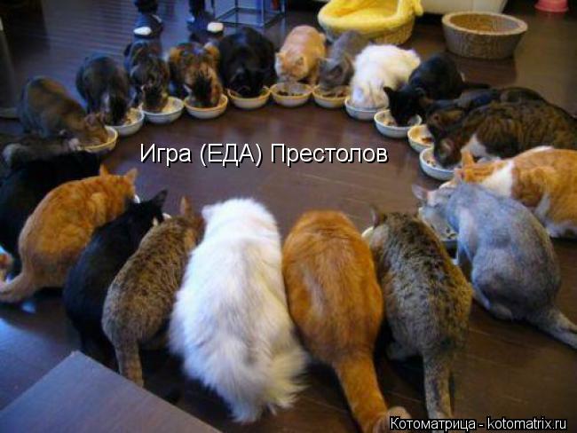 Игра (ЕДА) Престолов... Котоматрица: Игра (ЕДА) Престолов