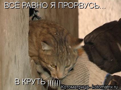 Котоматрица: ВСЁ РАВНО Я ПРОРВУСЬ... В КРУТЬ !!!!!!